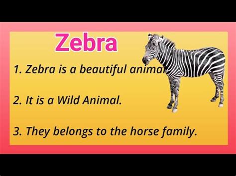 Blog Zebra Cat Zebra 5 Sentences About Zebra - 5 Sentences About Zebra