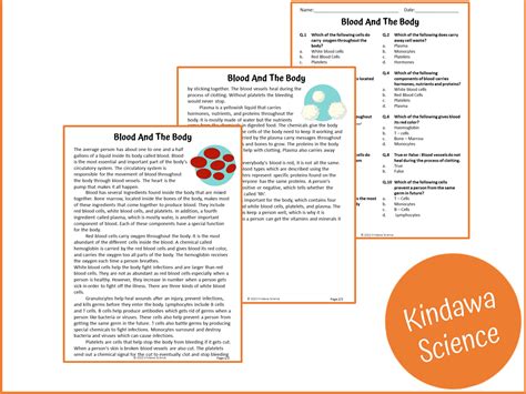 Blood And The Body Reading Comprehension Passage Printable Blood Types Worksheet Middle School - Blood Types Worksheet Middle School