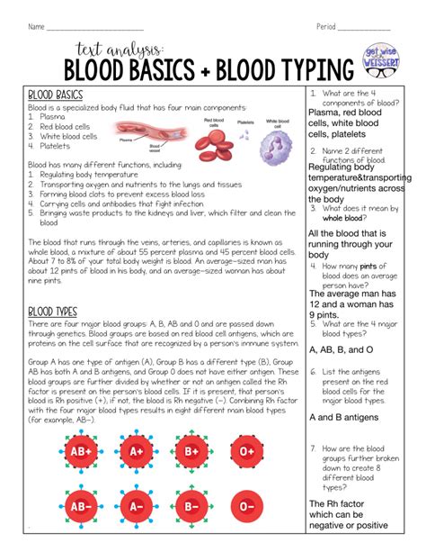 blood basics answer sheet