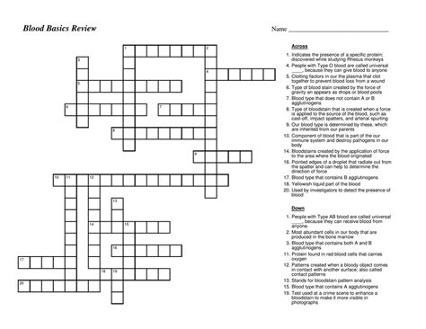 Blood Basics Review Answer Key