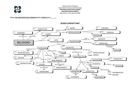 blood clothing concept map answer key