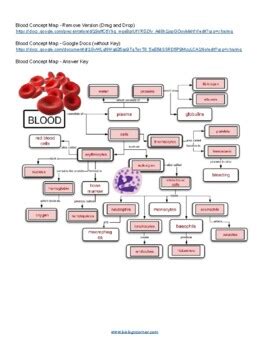 Blood Concept Map Answer Key