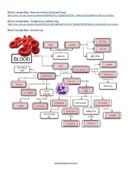 Blood Concept Map With Key By Biologycorner Tpt Blood Concept Map Worksheet Answers - Blood Concept Map Worksheet Answers