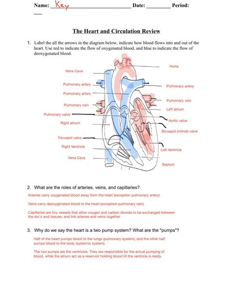 Blood Flow Worksheet Answer Key Heart Blood Flow Worksheet - Heart Blood Flow Worksheet