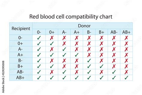 Blood Group Chart Donor