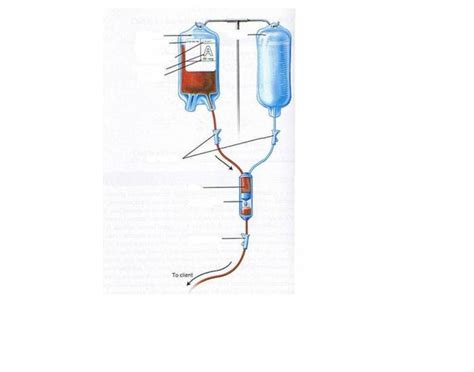 Blood Transfusion Setup Mdash Printable Worksheet The Blood Worksheet - The Blood Worksheet
