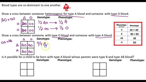 Blood Type Punnett Square Practice Key 2016 Name Punnett Square Worksheet Answers Key Biology - Punnett Square Worksheet Answers Key Biology