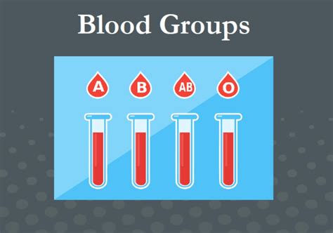 Blood Type Read Biology Ck 12 Foundation Blood Types Worksheet Middle School - Blood Types Worksheet Middle School