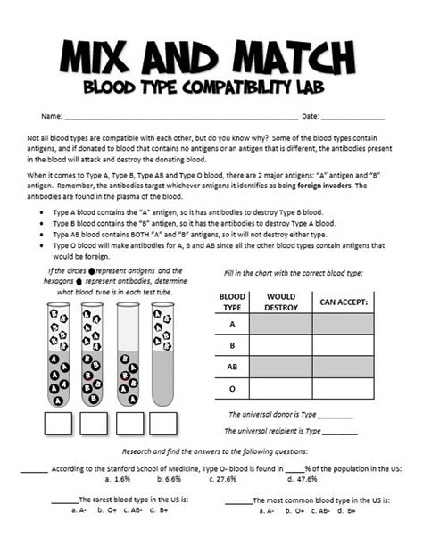 Blood Types And Transfusions Worksheets K12 Workbook Blood Types Worksheet Middle School - Blood Types Worksheet Middle School