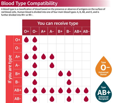 Blood Types Chart