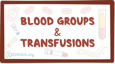 Blood Types Flashcards Amp Games Middle School Science Blood Types Worksheet Middle School - Blood Types Worksheet Middle School