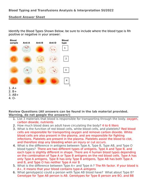 Blood Typing And Transfusions Student Answer Sheet Blood Type Worksheet Answers - Blood Type Worksheet Answers