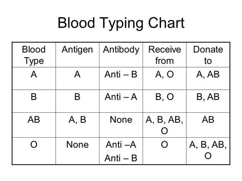 Blood Typing Worksheet Flashcards Quizlet Blood Type Worksheet Answers - Blood Type Worksheet Answers