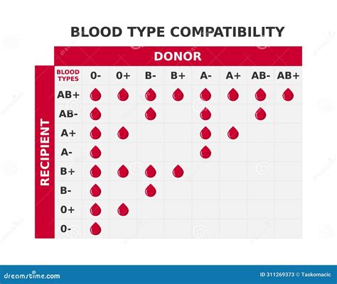 Blood Typr Chart