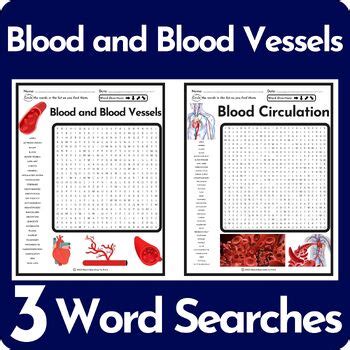 Blood Vessels Word Search Puzzle Blood Vessels Worksheet - Blood Vessels Worksheet