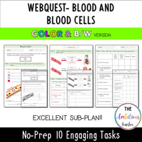 Blood Webquest Answer Key Red Gold