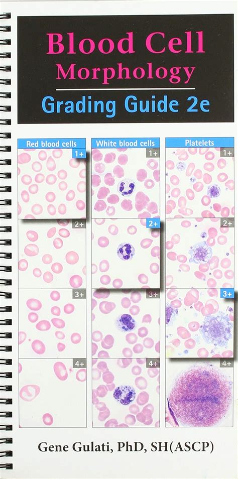 Read Blood Cell Morphology Grading Guide 