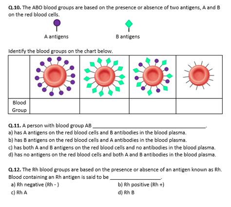 Read Blood Group Questions And Answers 
