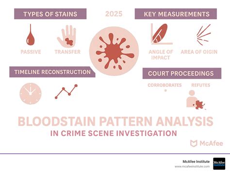 Bloodstain Pattern Analysis With An Introduction To Crime Scene Reconstruction Third Edition Practical Aspects Of Criminal And Forensic Investigations