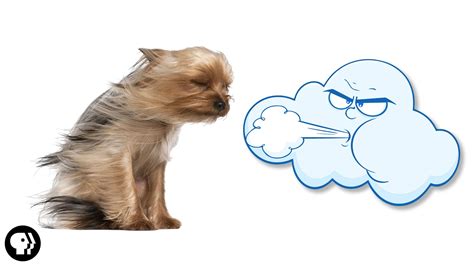 Blow In Wind
