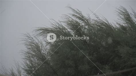 Blowing Rain Stowstop