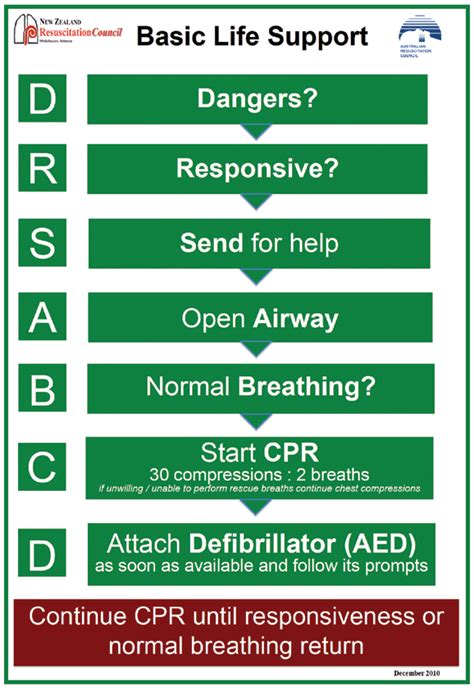 Read Online Bls Cpr Guidelines 2012 