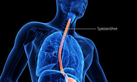 blubbern in der speiseröhre