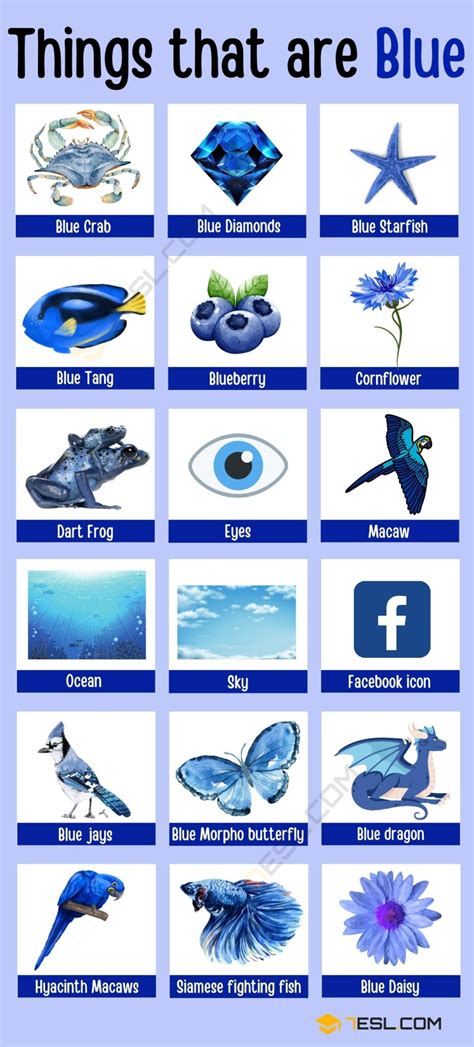 blue color things
