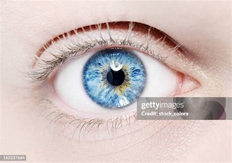 Blue Eye Twinkle