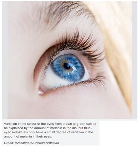 Blue Eyed Humans Have A Single Common Ancestor Eye Of Science - Eye Of Science