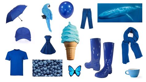 Blue I Things That Are Blue In Colour Blue Color Objects For Kids - Blue Color Objects For Kids