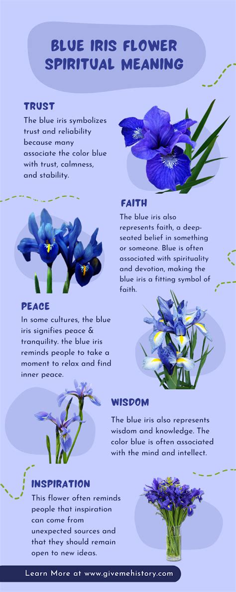 Blue Iris Version History