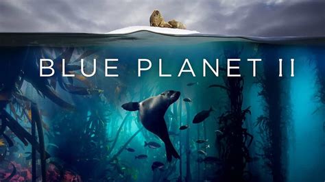 Blue Planet Deep Ocean Answer Key