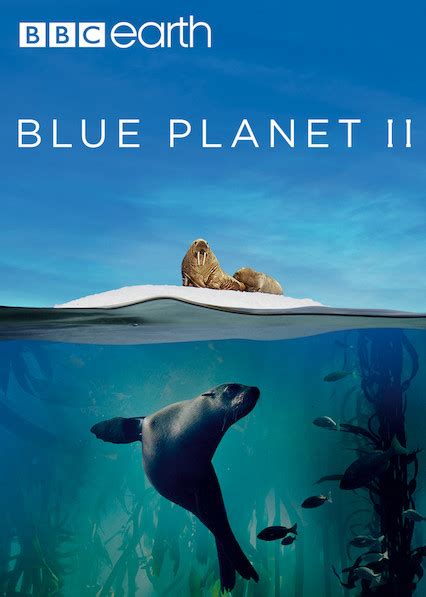 Blue Planet Ii Episode One One Ocean Video Blue Planet Coasts Worksheet Answers - Blue Planet Coasts Worksheet Answers