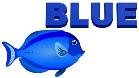 Blue Things For Kids Learn The Color Blue Blue Color Objects For Kids - Blue Color Objects For Kids