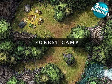 Bluebird Games Forest Camp Guide Walkthrough