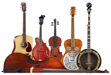Bluegrass Instruments