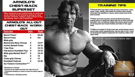 Blueprint Arnold Back Workout
