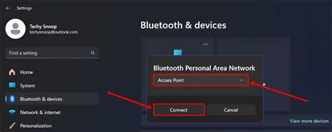 Bluetooth Device Personal Area Network