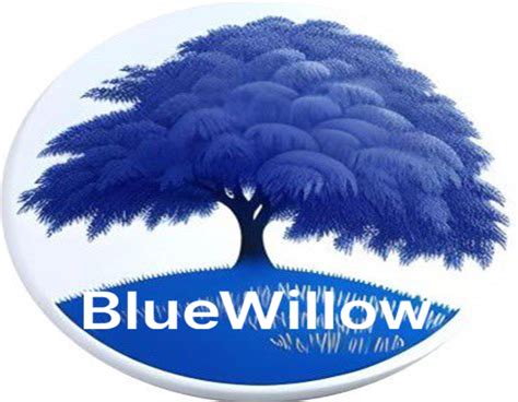 bluewillow - plataforma de 3 reais
