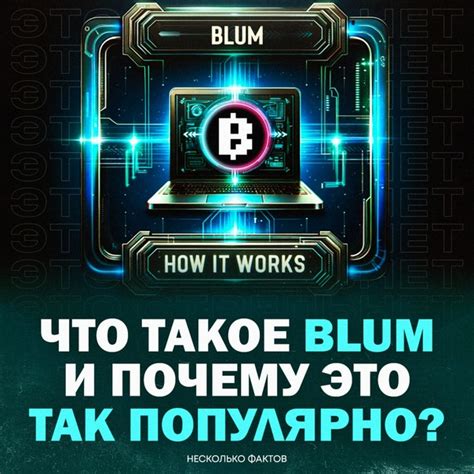 blum 3 мая