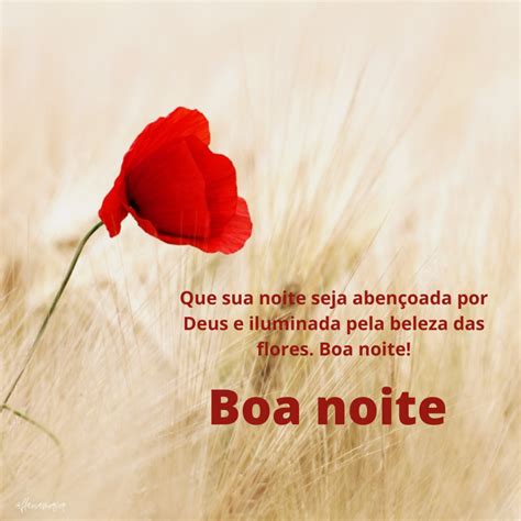 Boa Noite Com Flores Do Campo
