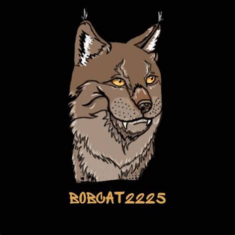 bobcat2225