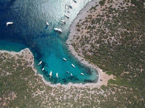 bodrum akvaryum