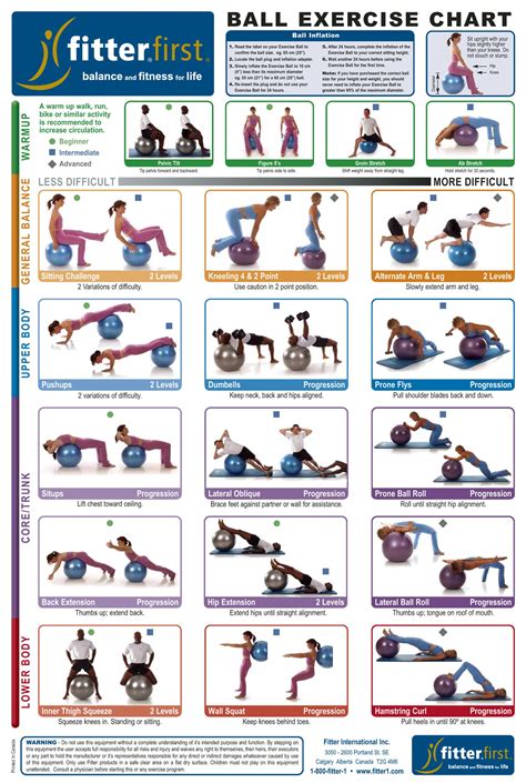 body ball exercises chart Google Search Ball exercises, Beginner