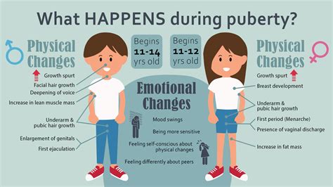 Body Image During Puberty What Happens To How Parts Of Human Body Pictures - Parts Of Human Body Pictures