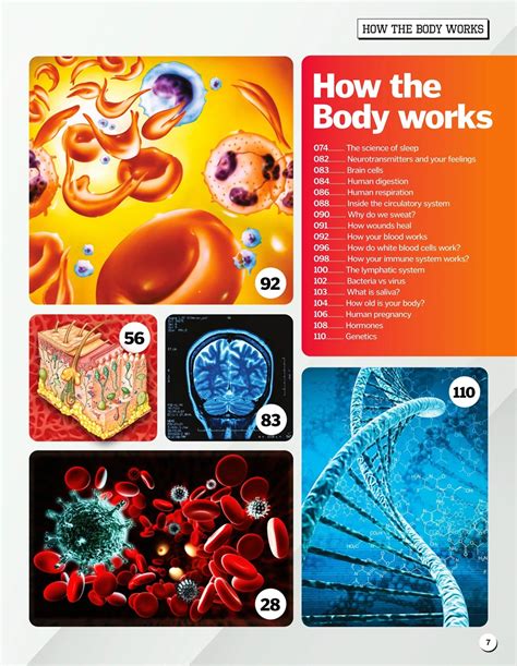 Body Image Second Edition A Handbook Of Science Practice And Prevention