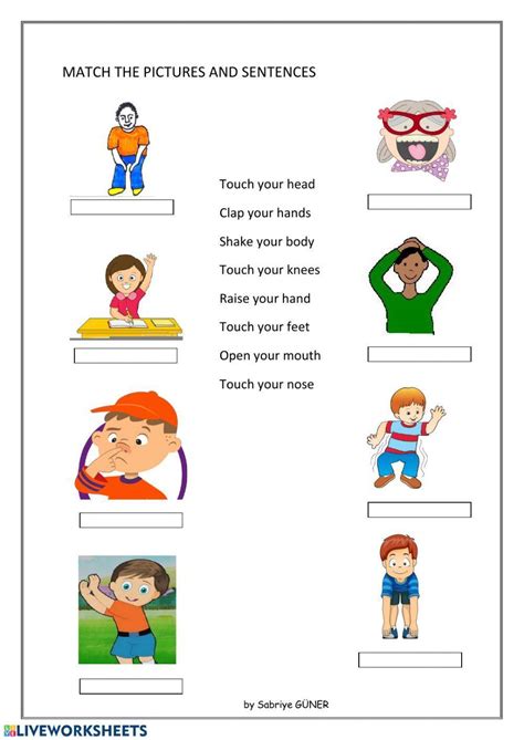 Body Movements Activity Live Worksheets Body Movements Worksheet - Body Movements Worksheet