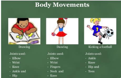 Body Movements Class 6