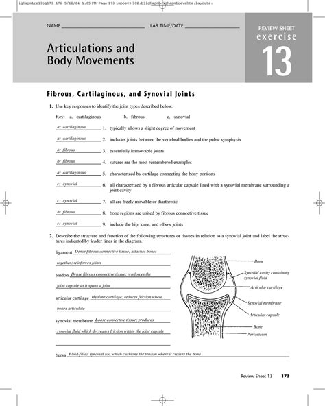 Body Movements Worksheet   Articulations And Body Movements Worksheet With Key Docsity - Body Movements Worksheet